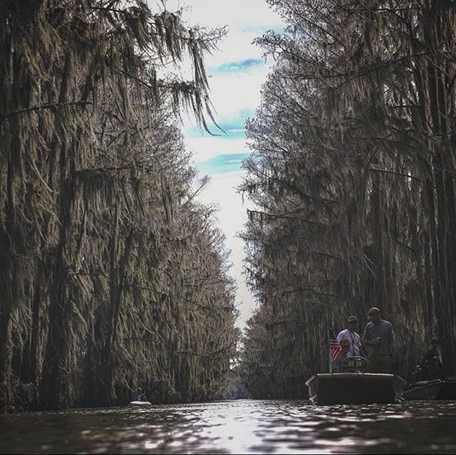 Prodigy Boats tweet media