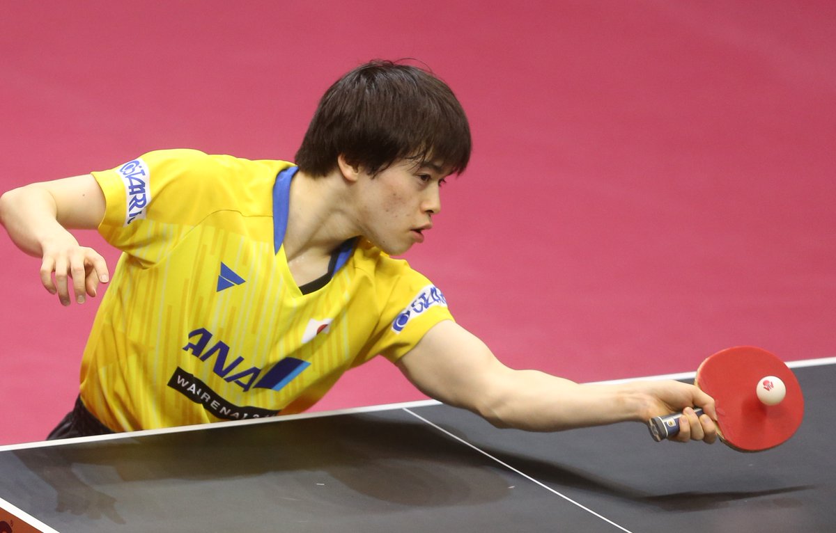 しろや │ 卓球用具ウォッチャー🏓 on X