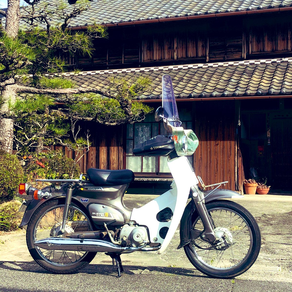 yotsuba_mc's tweet photo. ボクはバイク屋さんです。決して愛車を追加したのではありません。
在庫を増やしたんです。

#びじばいぱにっく #c70h https://t.co/jWOxFL3Le1