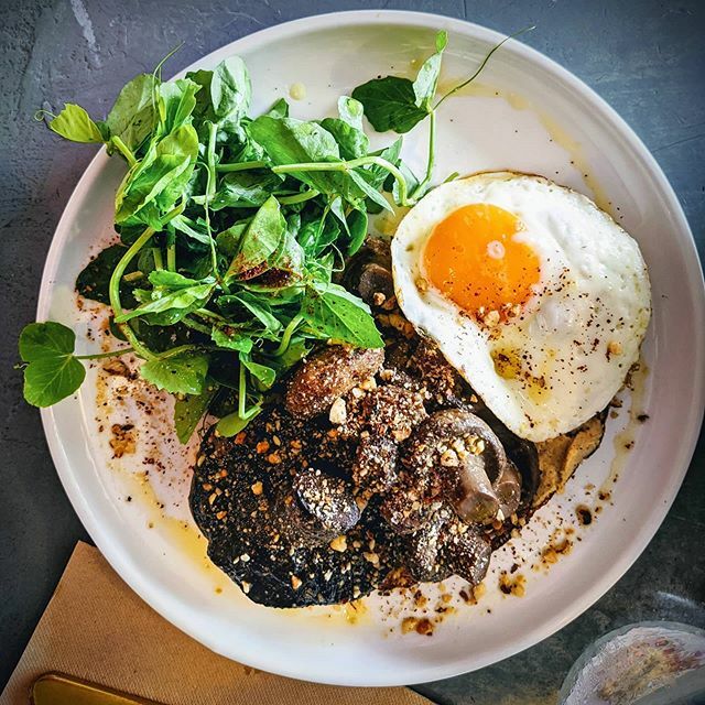 hendyo's tweet image. Breakfast of champions. That magical combo of fried egg, mushroom medley and greens! 🍳🍄🥗👌 ift.tt/3awVhys