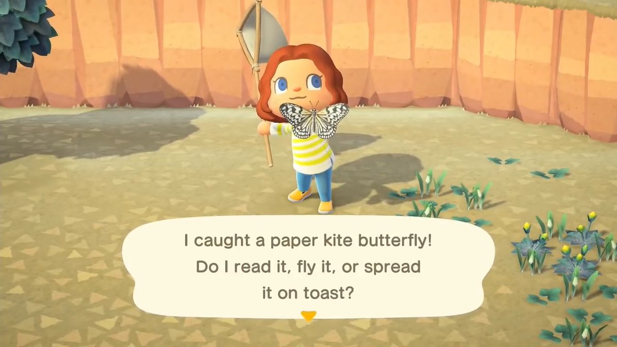 insect safari animal crossing