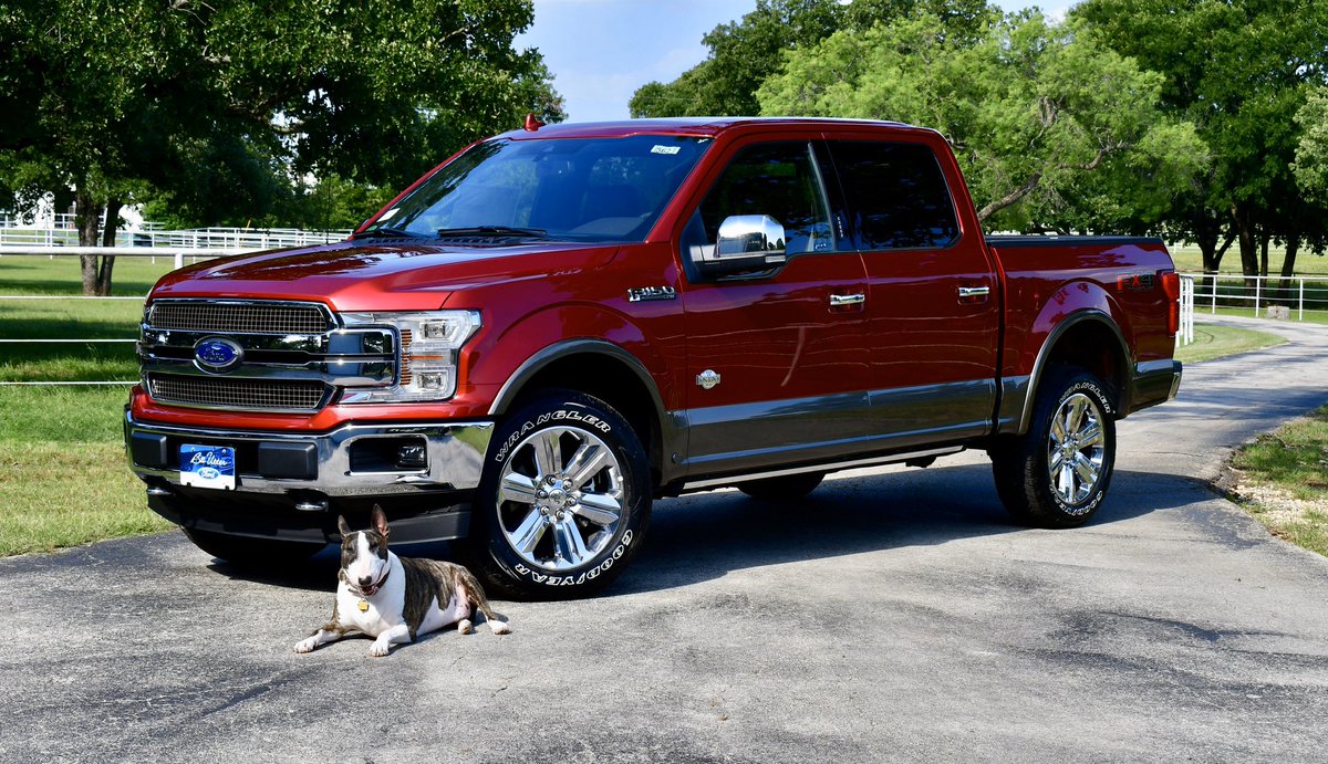BUFcommercial's tweet photo. Help us support the @DentonASF ! For every vehicle purchased on a Saturday during March, @billutterford will donate $25 to the Denton Animal Support Foundation! You can also drop off donations in the New Car Showroom. https://t.co/L5sWVbsTQH