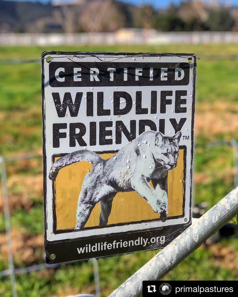 wfen's tweet photo. We 💛 you guys @PrimalPastures 👏👏👏!! #predatorfriendly #wildlifefriendly https://t.co/q6Wkuqzi3P