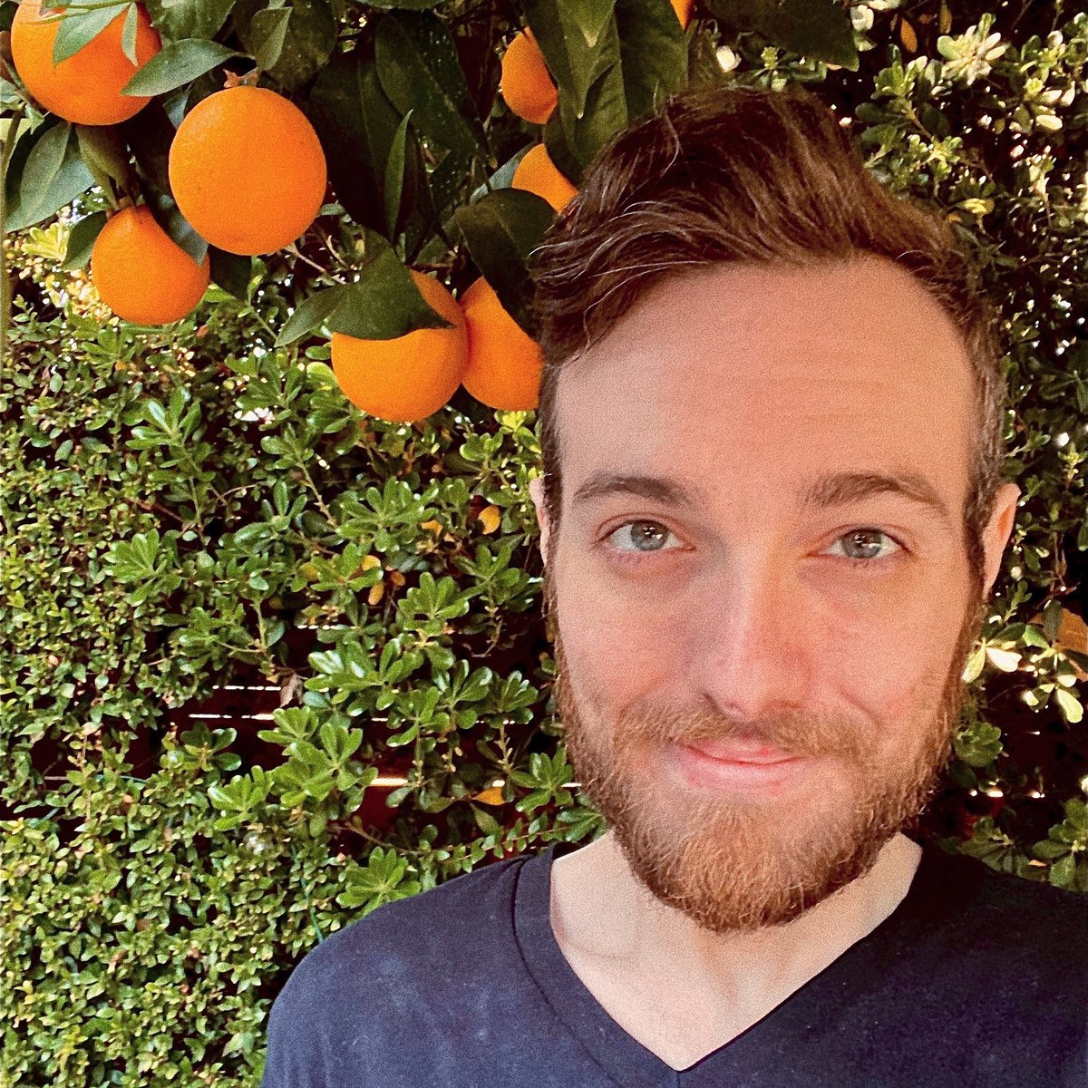 I just realized that yesterday I posted something on social media for the first time in all of 2020. I still check 30 times a day but somehow 6 months ago I lost my motivation to share things. All it took was 9 days in surgery to convince me! instagram.com/s/aGlnaGxpZ2h0…