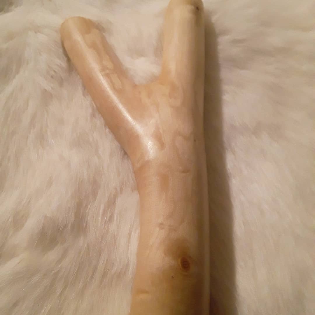 mikmaq_indian's tweet photo. I shall call you the "maple moose". Should I put notches in her for the band wrap or no? #bushcraft #survival #survivalist #maple #maplefork #maplemoose #slingshot #catapult #natty #naturalfork #fork #smallgame #hunting #thoughts https://t.co/n1wHB80hv3