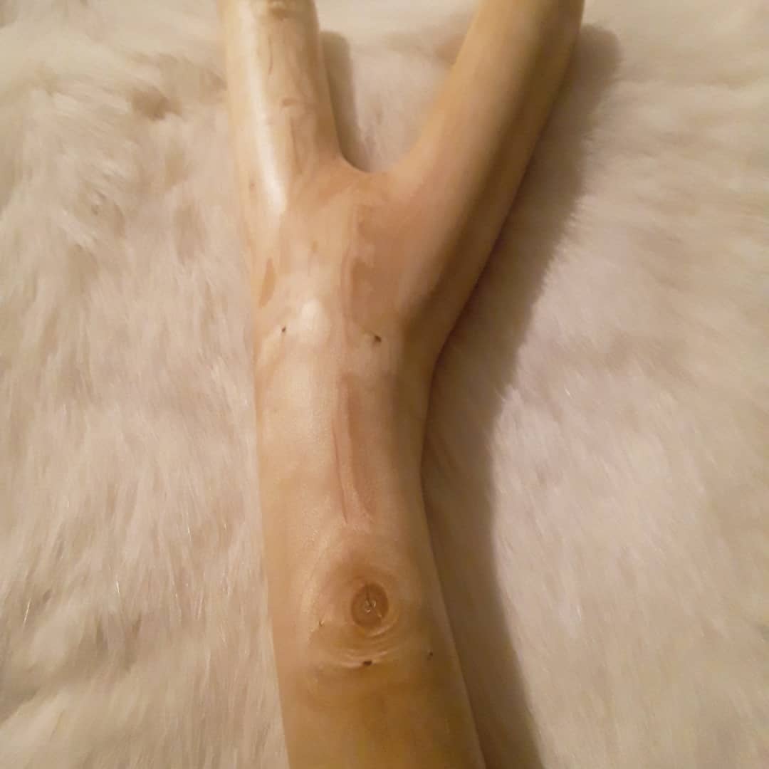 mikmaq_indian's tweet photo. I shall call you the "maple moose". Should I put notches in her for the band wrap or no? #bushcraft #survival #survivalist #maple #maplefork #maplemoose #slingshot #catapult #natty #naturalfork #fork #smallgame #hunting #thoughts https://t.co/n1wHB80hv3