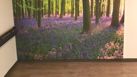 panolam's tweet photo. Who's itching for spring? 🙋 These #CustomDigital #FRL Headboards are a great example of creating a healing environment. If you would like to learn more, #Panolam offers a #CEU course specifically on this topic. Talk to your local rep to set one up today! #hospitaldesign https://t.co/kNKuRRJZaO