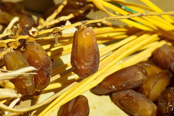 royalealgeriens's tweet photo. C’est bon et c’est beau vivement le ramadan in sh’Allah 😂🇩🇿@royalealgeriens https://t.co/K6nRpmfLEE
