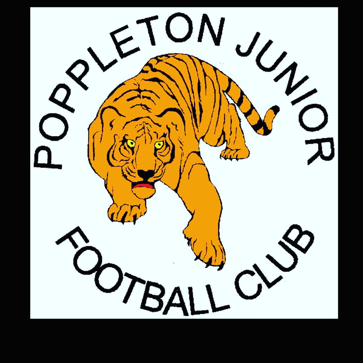 We have received some guidance from the FA to help prevent the spread of Coronavirus if you take a read below. So you are aware handshakes may not take place at games over the weekend and are replaced by some TikTok style dances (ask the kids 😁)
northridingfa.com/news/2020/mar/…