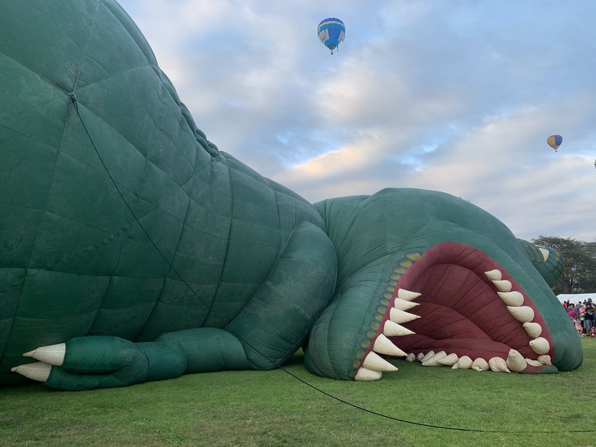 Yep I have mornings I feel like that #canberraBalloonSpectacular