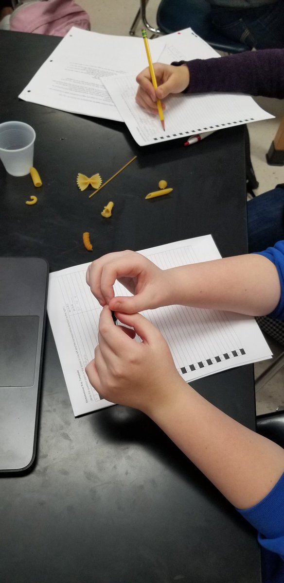 MsMcCraysClass's tweet photo. Using our learning from yesterday to work backwards and #create our own dichotomous key. Also working on our Latin! @YoungJHAISD https://t.co/RVVudxwxW8