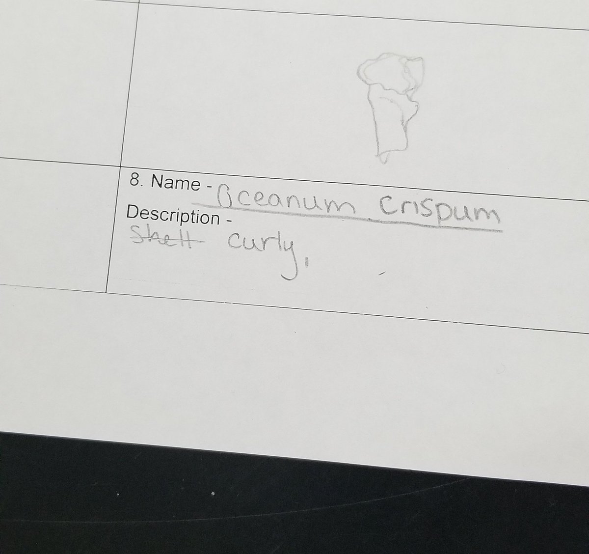 MsMcCraysClass's tweet photo. Using our learning from yesterday to work backwards and #create our own dichotomous key. Also working on our Latin! @YoungJHAISD https://t.co/RVVudxwxW8
