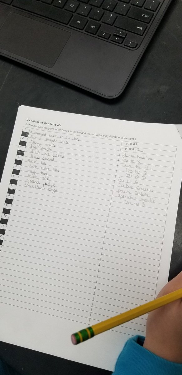 MsMcCraysClass's tweet photo. Using our learning from yesterday to work backwards and #create our own dichotomous key. Also working on our Latin! @YoungJHAISD https://t.co/RVVudxwxW8