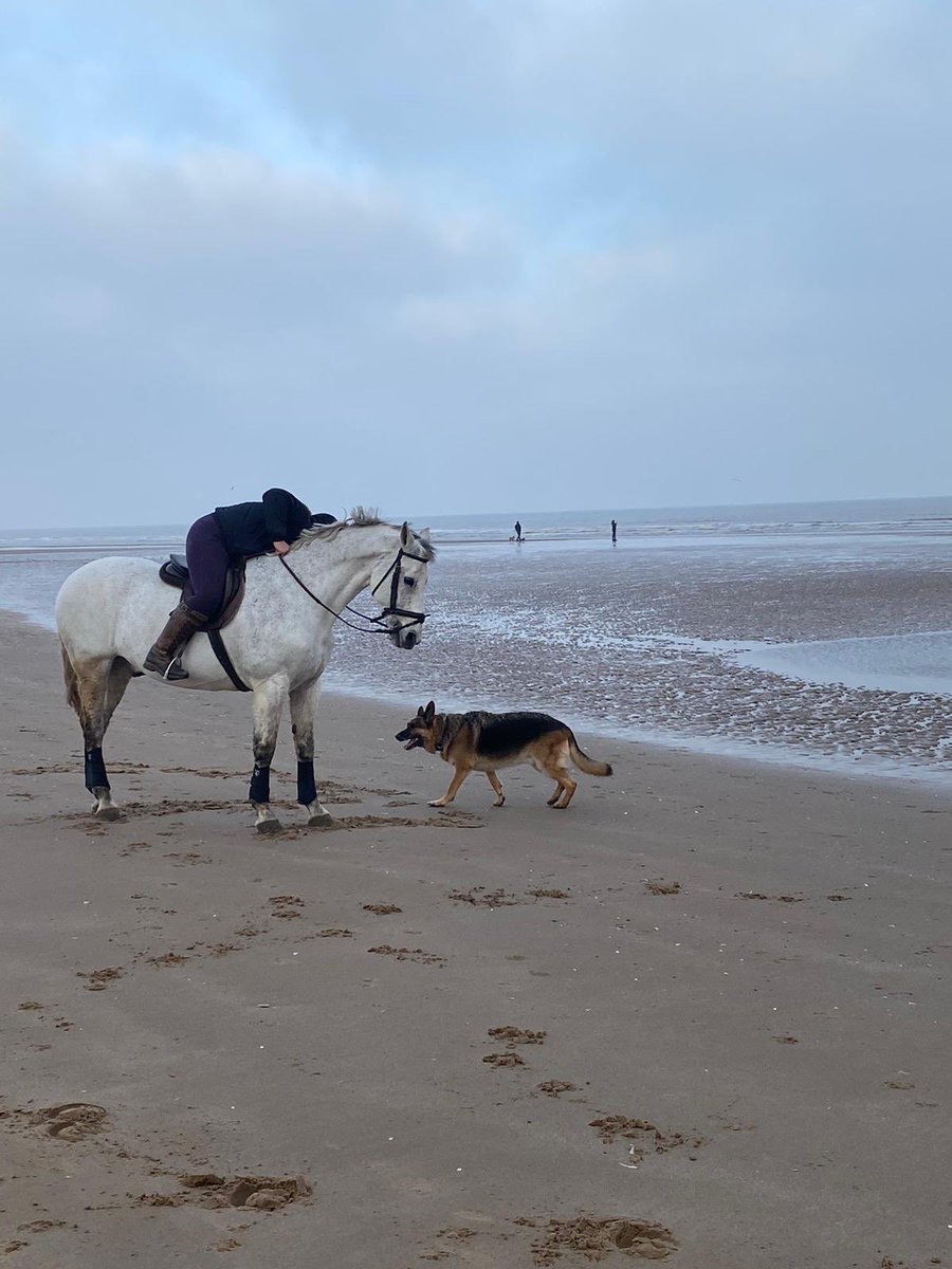 emmomonav's tweet photo. A girls best friends! ❤️ #theddlethorpe #crufts https://t.co/MYzbTeAZRI