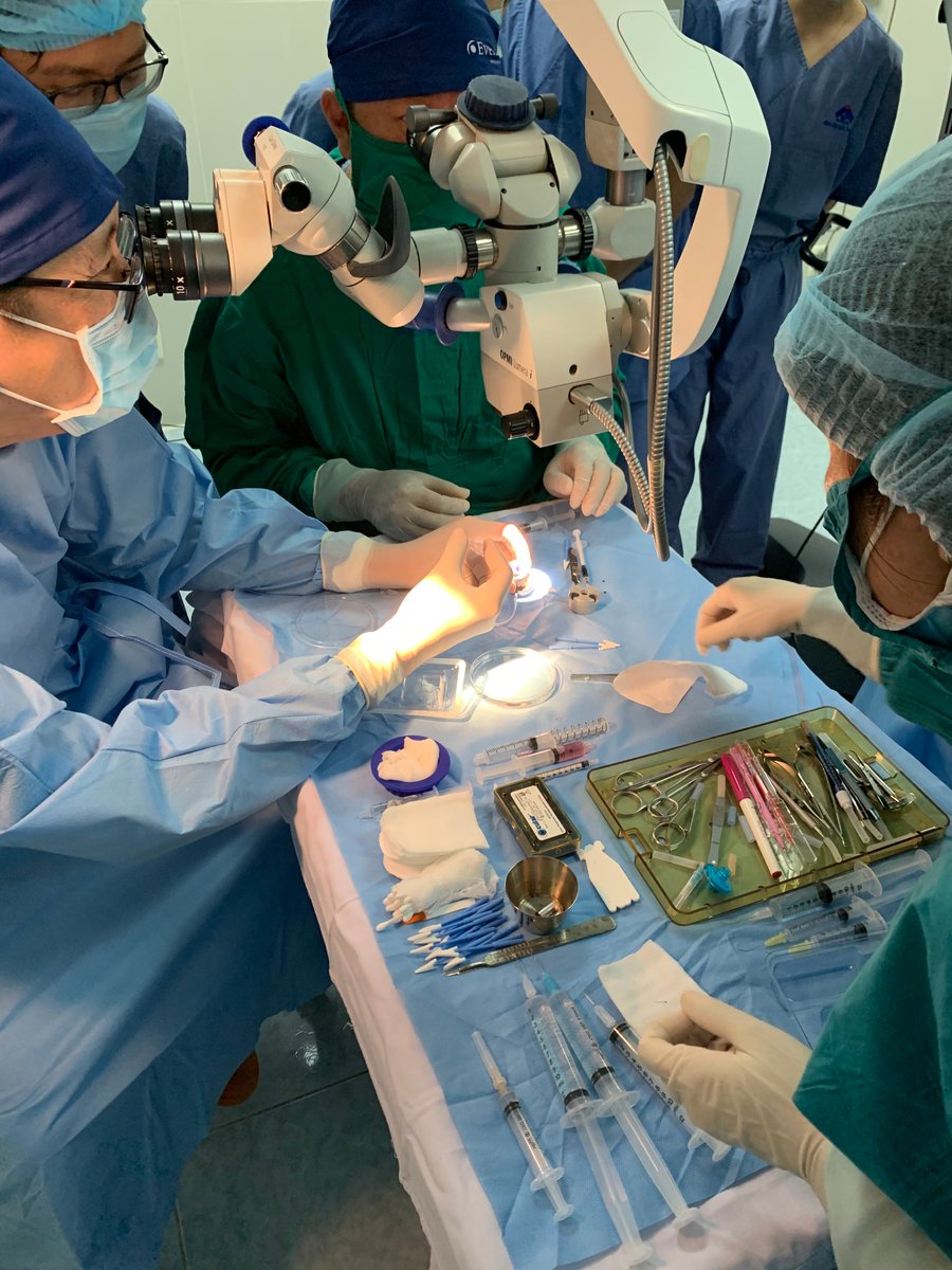 EversightVision's tweet photo. We provided donor eye tissue to their team so they could lead an educational wet lab to train Vietnamese surgeons on the latest transplant techniques, as well as perform many sight-restoring surgeries.
#MedEd #education #vision #Eversight https://t.co/L5MsGrqnK9