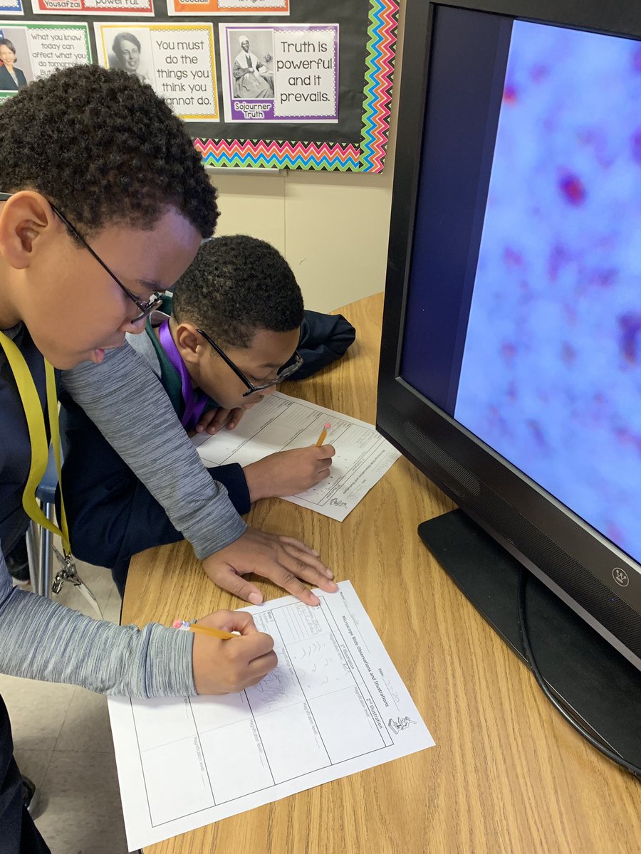 emmert_gators's tweet photo. @gilliard_gators PACE student epidemiologists are investigating VirusX.  We looked for and graphed patterns in data, observed possible virus samples, learned and practiced content specific @Flocabulary and contained a virus outbreak with @breakoutEDU . @faithlucy1 @MCPSSGiftedEd https://t.co/8vjg4U361c