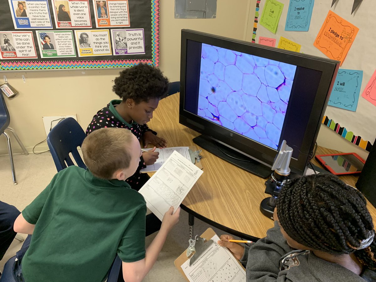 emmert_gators's tweet photo. @gilliard_gators PACE student epidemiologists are investigating VirusX.  We looked for and graphed patterns in data, observed possible virus samples, learned and practiced content specific @Flocabulary and contained a virus outbreak with @breakoutEDU . @faithlucy1 @MCPSSGiftedEd https://t.co/8vjg4U361c