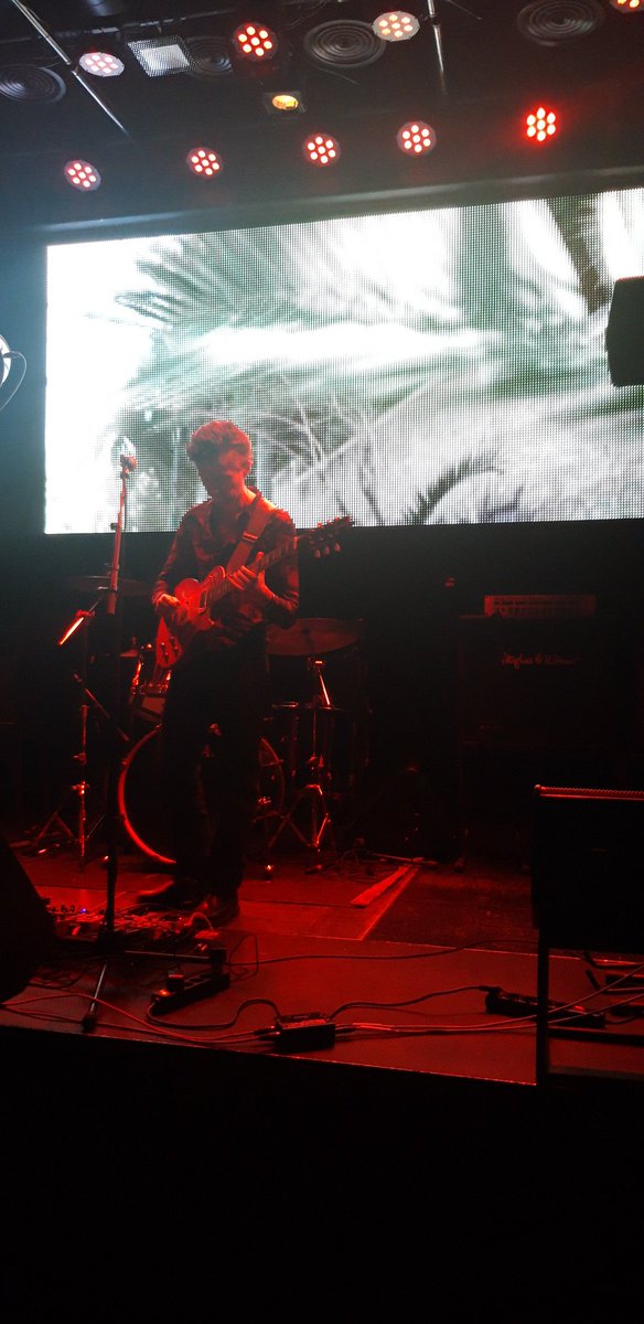 jemenfous__'s tweet photo. Theo Nt @Theo_Nt  #sixdogs live https://t.co/Nfw6nFn13R