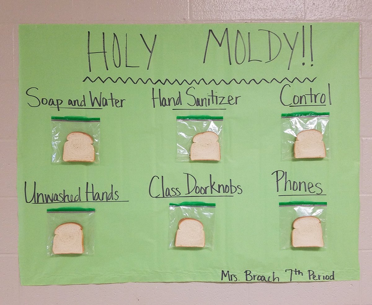 a_broach's tweet photo. Started our spring Science experiment today at @OaklandRCS to highlight the importance of washing our hands! #holymoldy #SpEdScience https://t.co/u9MuxvoAH2