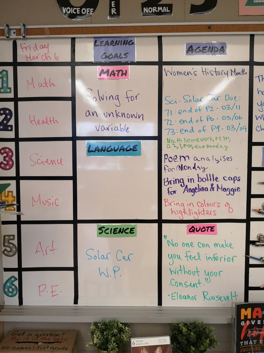 MsWilsonMapleG1's tweet image. 