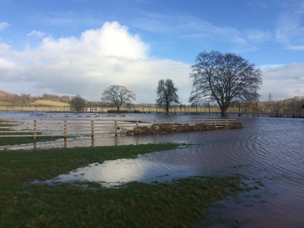 Knighton on Teme CC tweet media