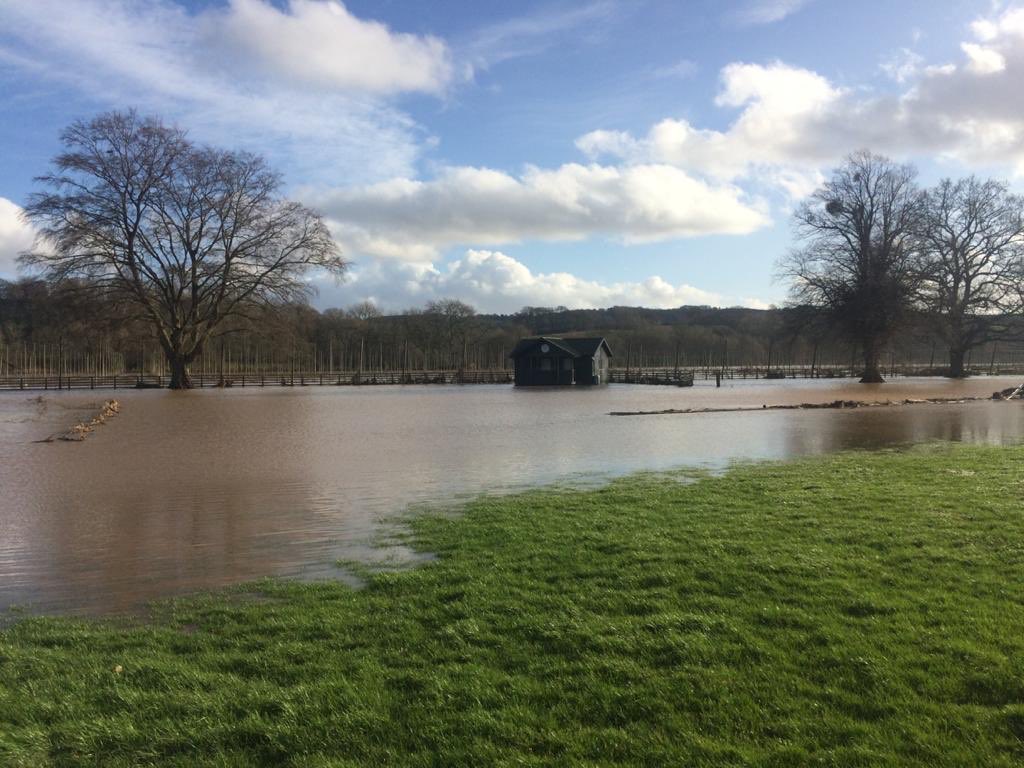 Knighton on Teme CC tweet media