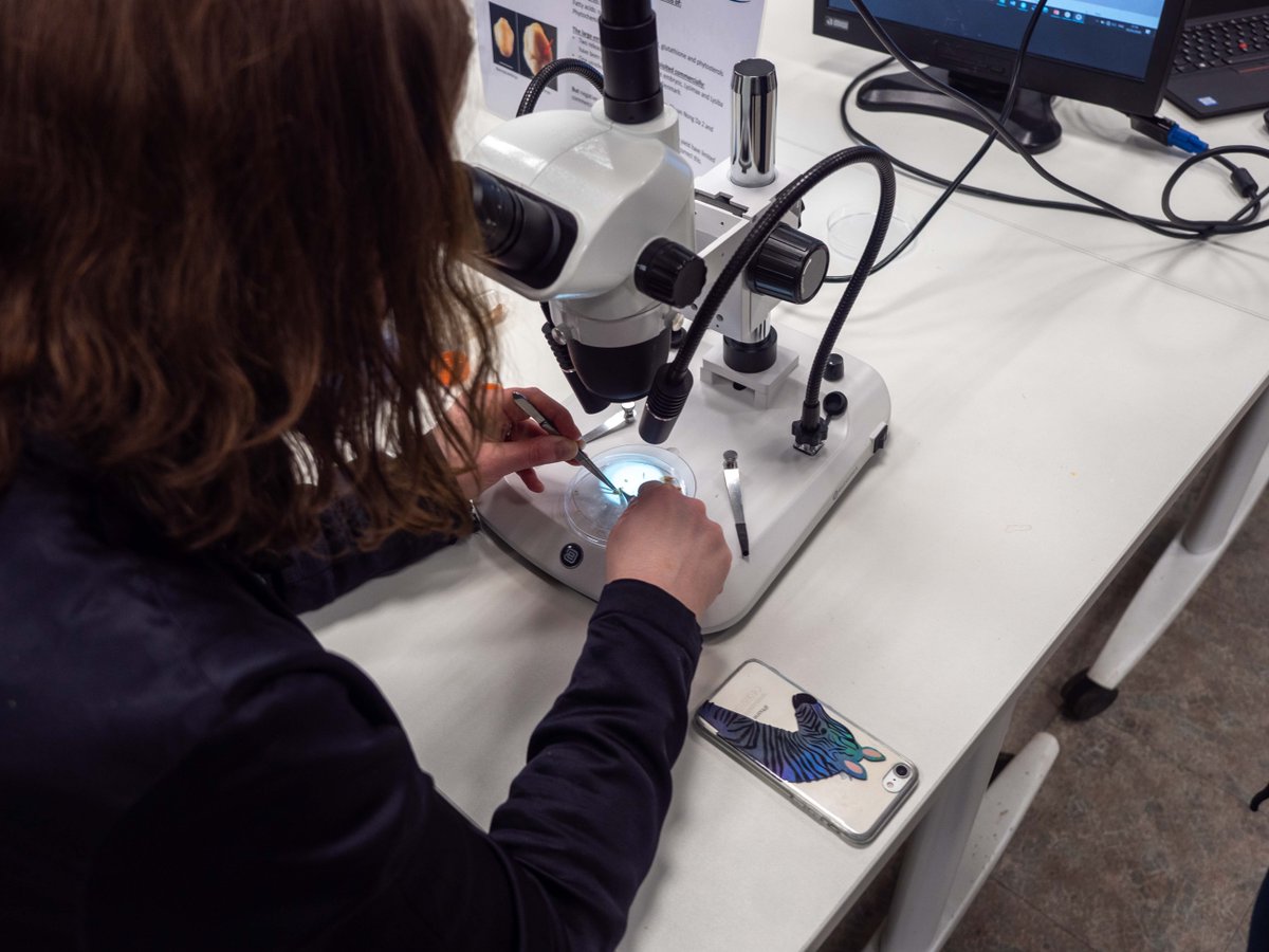 Video of the amazing MadeInCambridge Superwheat night now up on YouTube - see madeincambridge.org <a href="/NIAB/">Jeff Waechter</a> <a href="/AlisonRBentley/">Alison Bentley</a> <a href="/tim_minshall/">Tim Minshall</a> @FoodCambridge <a href="/GlobalFood_Camb/">GlobalFoodSecurity</a> <a href="/Twoflix/">TwoFlix</a>