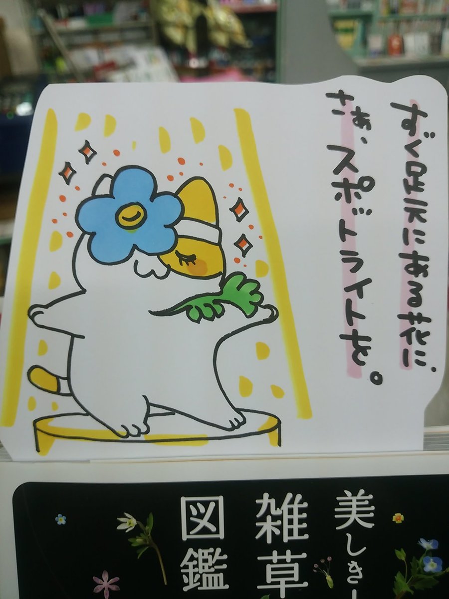 本日紹介する本は「美しき小さな雑草の花図鑑(山と渓谷社)」です。そこらじゅうに生えている雑草の花を拡大してみる事により、名前も知らないすぐ傍の花の美しさを知る事ができる一冊。写真集としても楽しいこの本を読んだ後は、暖かくなる季節に向けてルーペとスケッチブックを購入したくなる筈です♪
