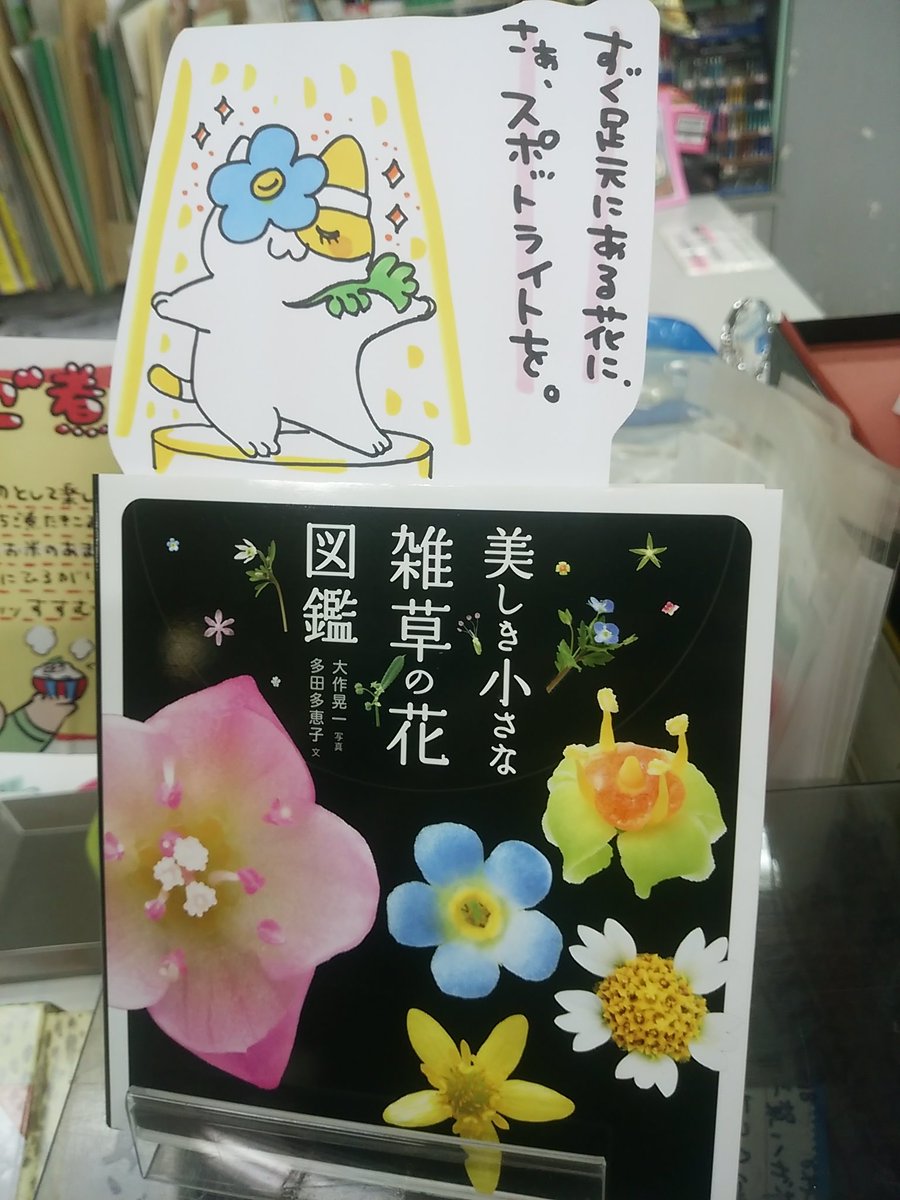 本日紹介する本は「美しき小さな雑草の花図鑑(山と渓谷社)」です。そこらじゅうに生えている雑草の花を拡大してみる事により、名前も知らないすぐ傍の花の美しさを知る事ができる一冊。写真集としても楽しいこの本を読んだ後は、暖かくなる季節に向けてルーペとスケッチブックを購入したくなる筈です♪