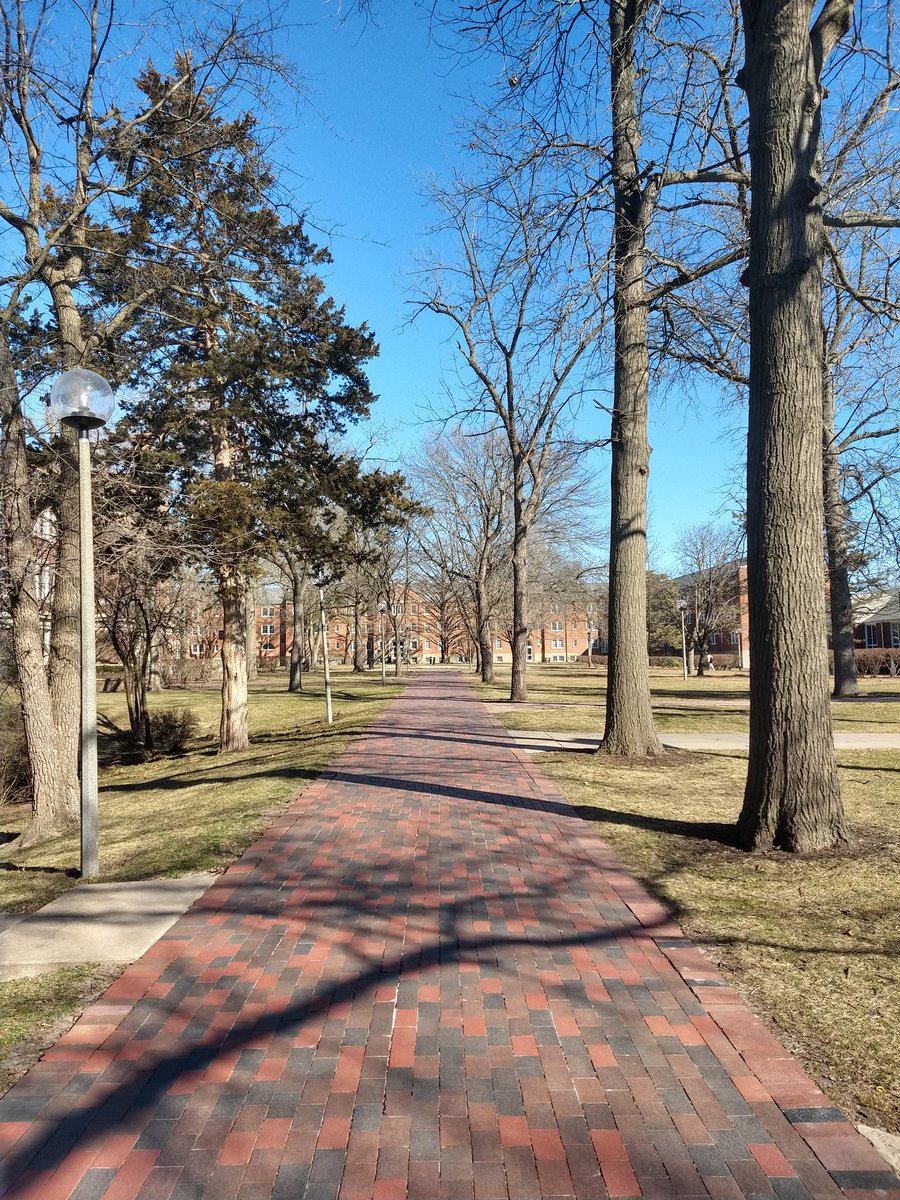 Truman Photos (@trumanphotos) on Twitter photo 