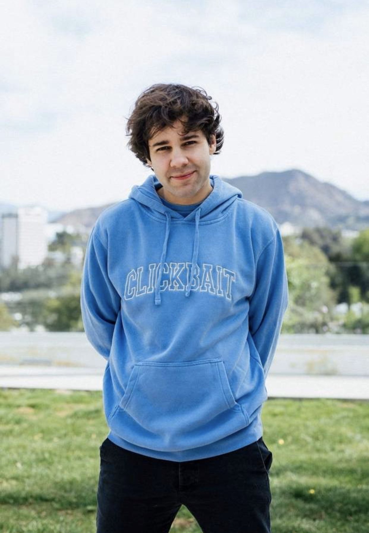 David dobrik rainbow merch sales