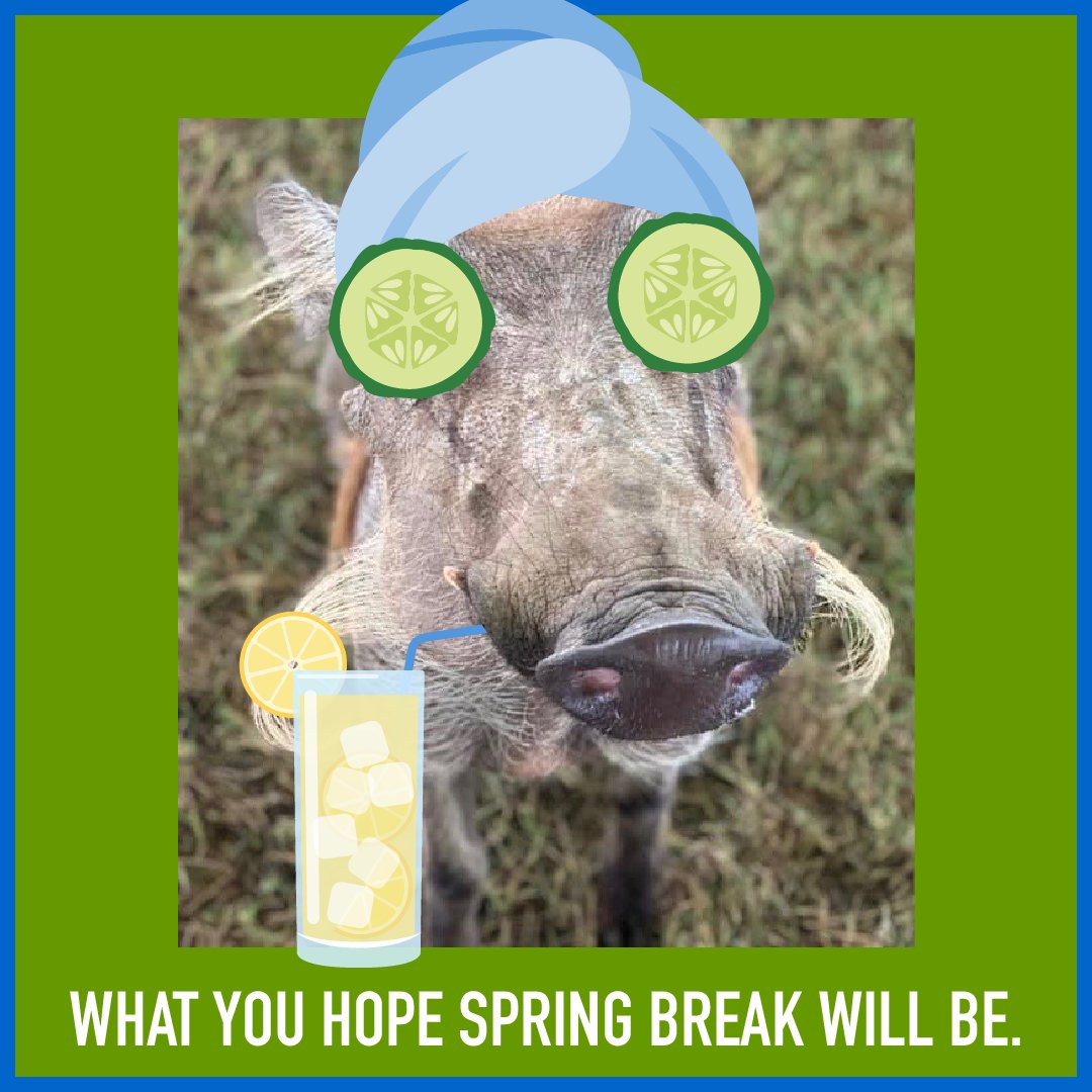Zoomagination's tweet photo. Its #SpringBreak and no matter how you plan on spending your week, Zoomagination is here to entertain and educate! Catch us every Saturday at @LaCanteraResort @JWSanAntonio and @HR_HillCountry !

#animals https://t.co/8fdxSRmgvb