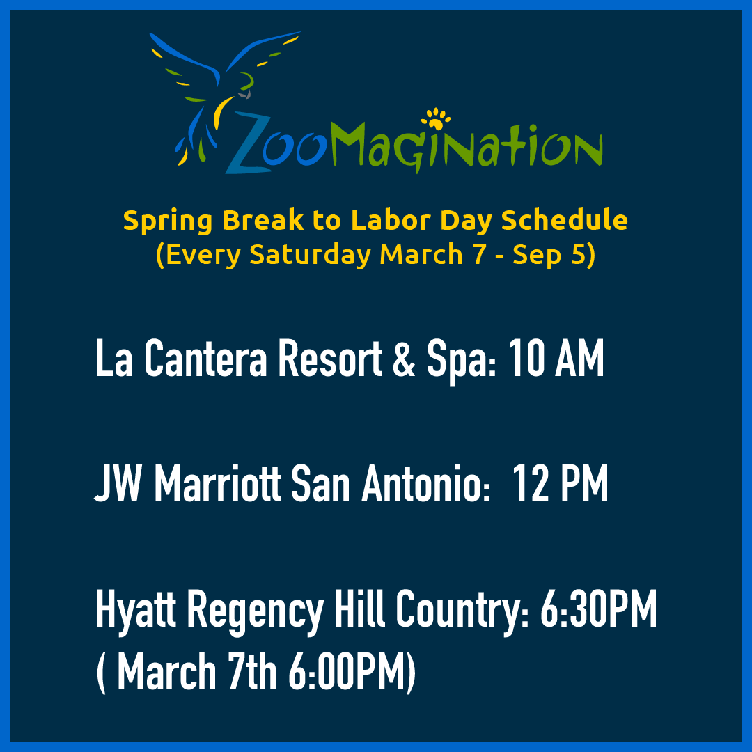 Its #SpringBreak and no matter how you plan on spending your week, Zoomagination is here to entertain and educate! Catch us every Saturday at <a href="/LaCanteraResort/">La Cantera Resort</a> <a href="/JWSanAntonio/">JWMarriottSanAntonio</a> and <a href="/HR_HillCountry/">Hyatt Regency Hill Country Resort and Spa</a> !

#animals