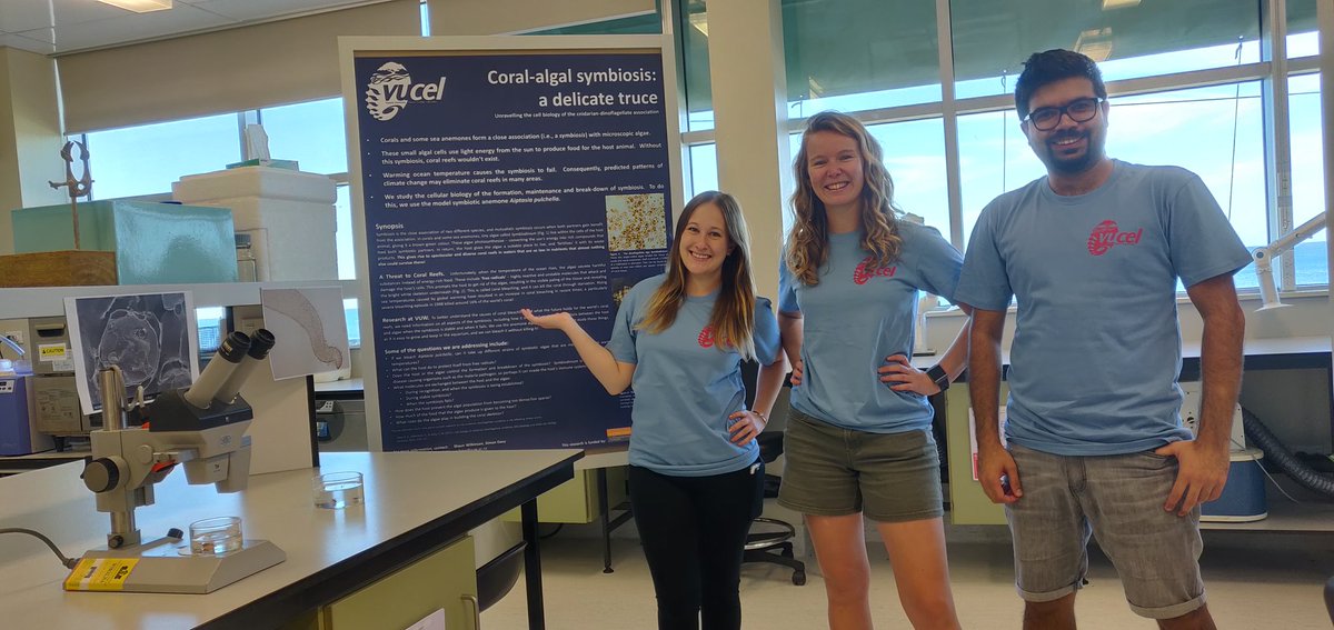 Davy Lab (@davylabnz) on Twitter photo Come see us at the VUCEL open day today in Island Bay to talk about anemones, corals and science!
#talktoascientist <a href="/VicUniWgtn/">Te Herenga Waka—Victoria University of Wellington</a> Come see us at the VUCEL open day today in Island Bay to talk about anemones, corals and science!
#talktoascientist <a href="/VicUniWgtn/">Te Herenga Waka—Victoria University of Wellington</a>