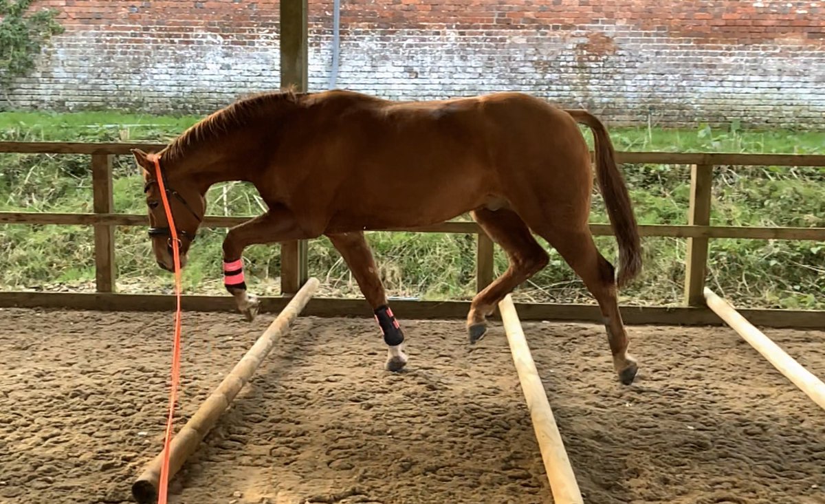 Claire Drey-Brown tweet media