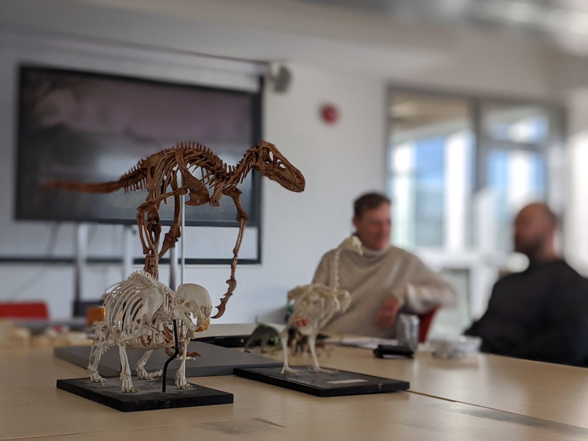 Mark Witton (Bluesky: @markwitton.bsky.social) tweet media