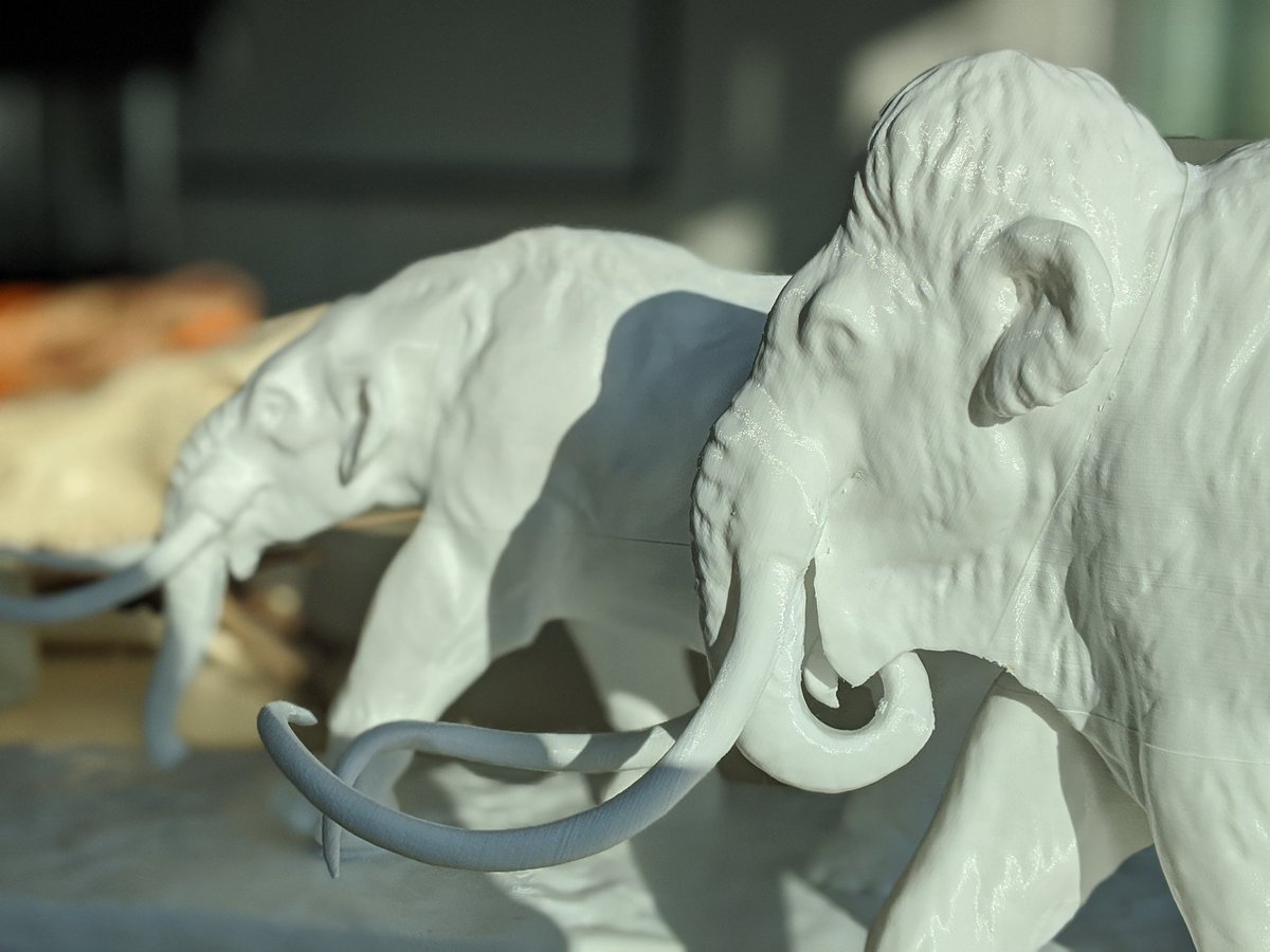 Mark Witton (Bluesky: @markwitton.bsky.social) tweet media