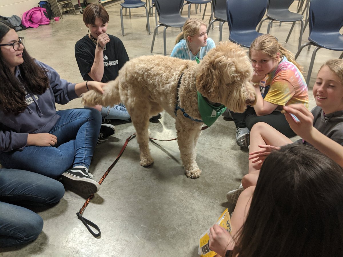 BluejayMSChoir's tweet photo. To promote self-care, BFMS held sessions on different activities that can improve mood and lessen anxiety. Pet Therapy was a BIG HIT! https://t.co/rf5J10u4MH