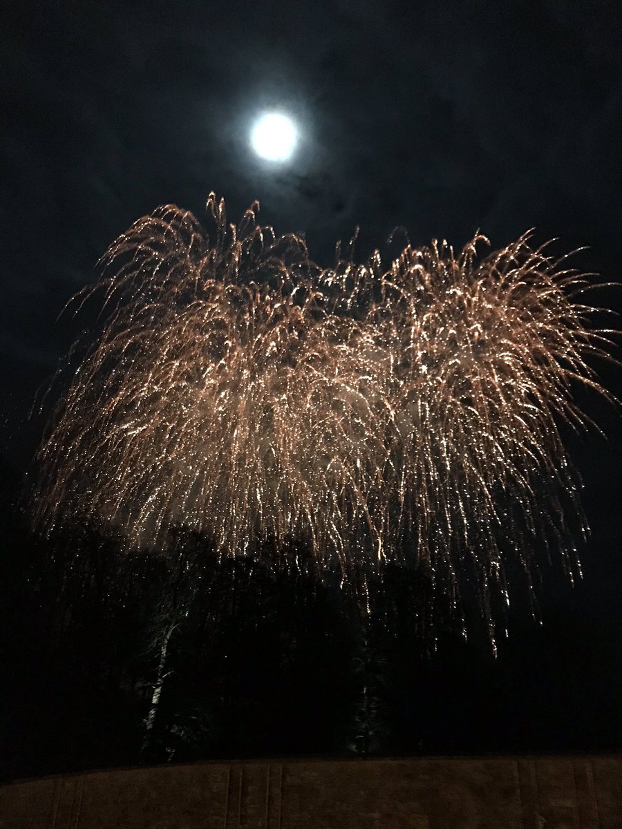 What an amazing evening at The Newt’s Wassail. Great food and drink, cannons and fireworks. Thank you for the invitation. <a href="/thenewtsomerset/">The Newt in Somerset</a>  <a href="/KingsBruton/">King's Bruton</a>