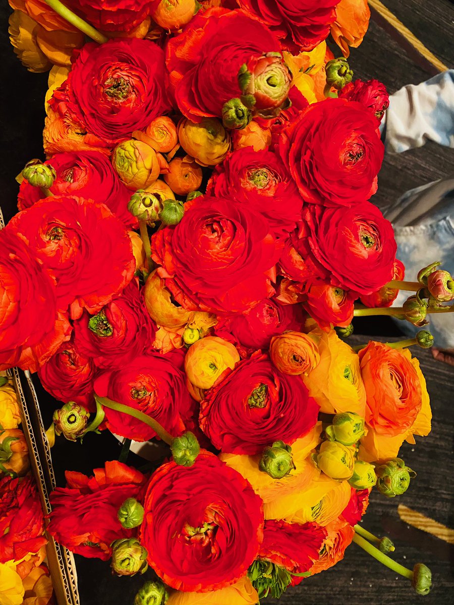 nclbrightstar's tweet photo. @nclbrightstar volunteers helped salvage flowers from the @erjcchouston luncheon and happily brightened the day by giving them to @SalArmyHouston residents. Thanks!!! https://t.co/hQbhCT1FQW