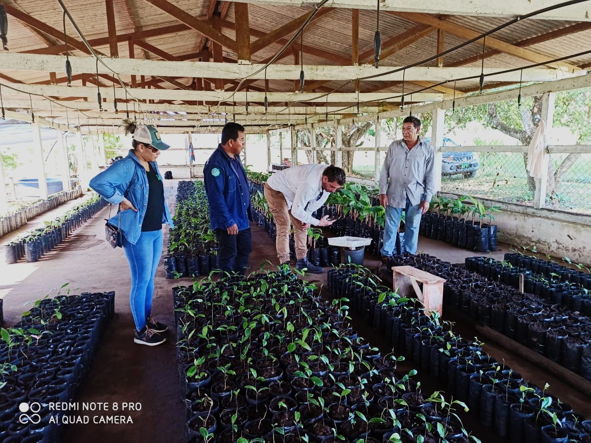 GobPandoOficial's tweet photo. #BuenasNoticias Para garantizar la soberanía alimentaria en Pando, técnicos de la @ONUBolivia para la Agricultura y la Alimentación, a través del programa #GISBA realizó la inspección a la producción de plantines en el Centro Silverio Rocha.
👉https://t.co/QA3VWwIG13 https://t.co/JKSviJcp5y