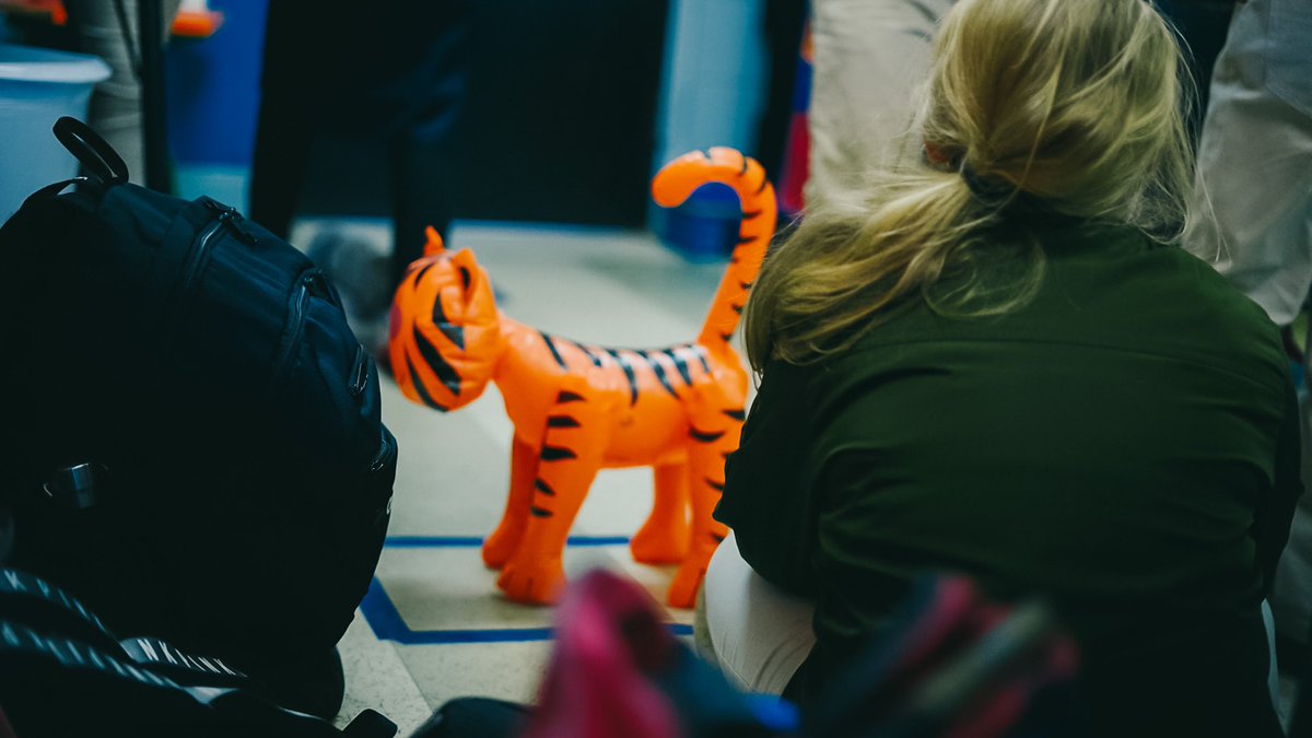 CESTigerTeam's tweet photo. 3rd Graders measure out their “zoo” with parameter and area. #EliteStartsHere https://t.co/96UAtttXye