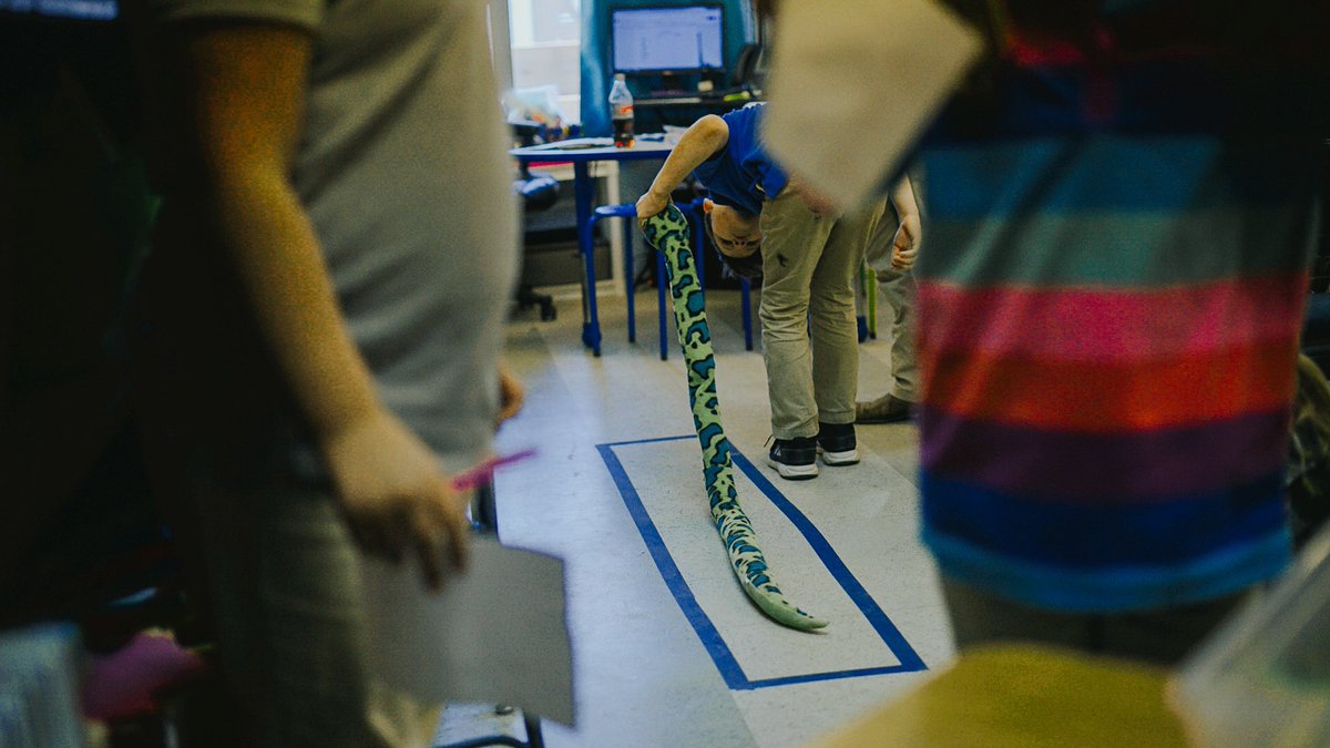 CESTigerTeam's tweet photo. 3rd Graders measure out their “zoo” with parameter and area. #EliteStartsHere https://t.co/96UAtttXye