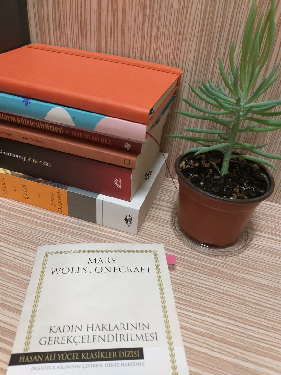 "Kadınların erkekler üzerinde değil,kendi üzerlerinde güç sahibi olmalarını istiyorum."
Mary Wollstonecraft #8martdunyakadinlargunu