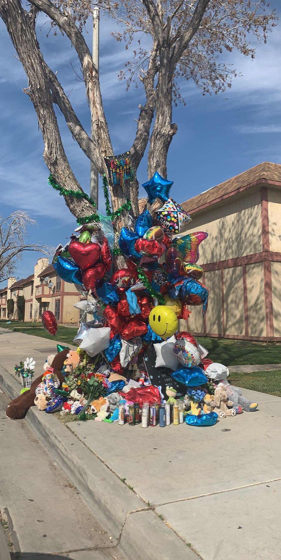 Kennedy Gabriel Fernandez Memorial And Gabriel S Tree Outside His Apartments Still Can T Believe Some Shit Like This Could Happen Here And Not Only Once Justiceforgabriel Trialsofgabrielfernandez T Co Bwzgnychr0 Twitter