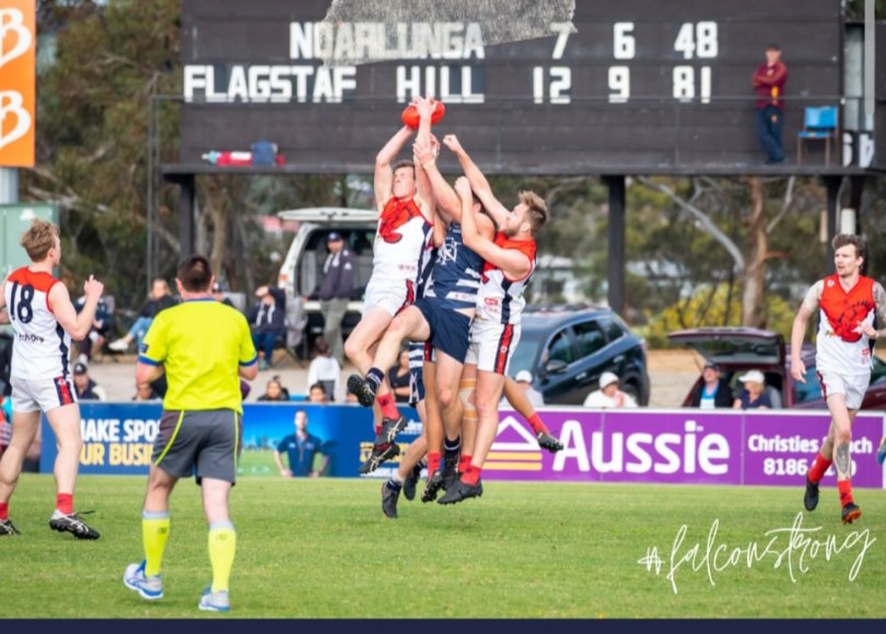 Dutchy1010's tweet photo. @FitzySA This gets me emotional Fitzy, #4peat #bushpigs https://t.co/9ZDCdLeNAa