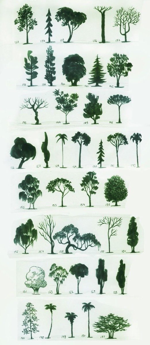 Different Types Of Trees Drawings