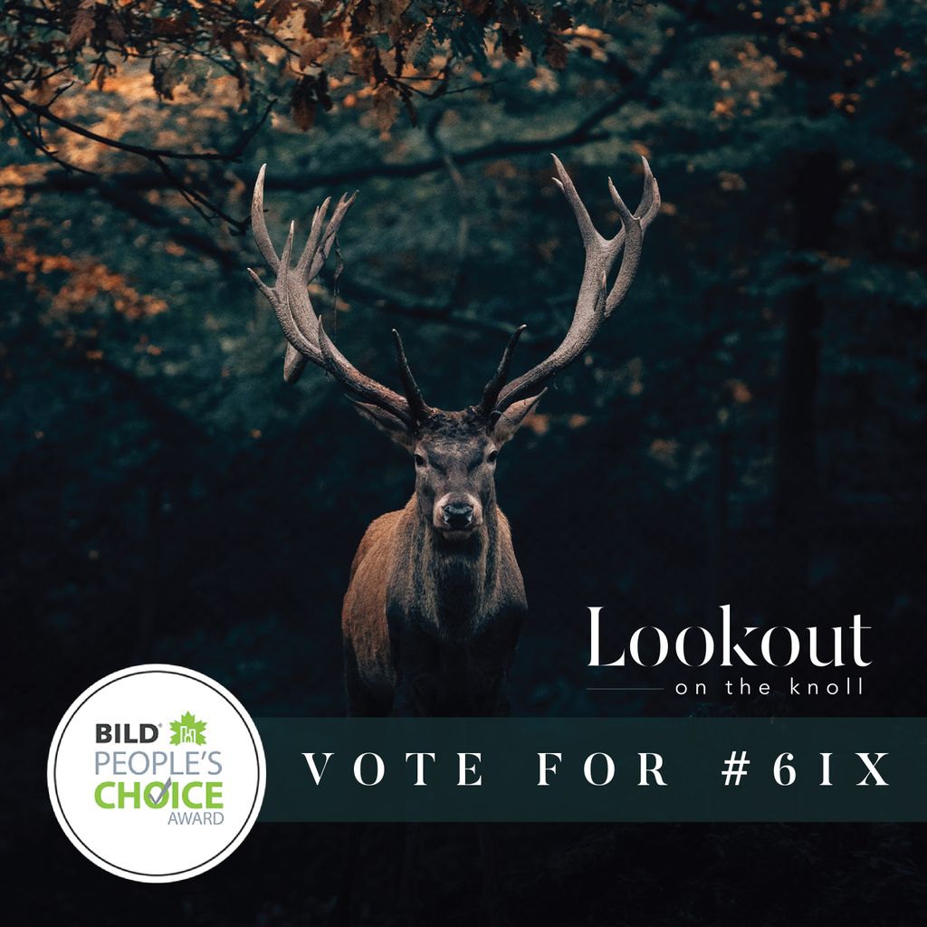 acorn_dev's tweet photo. We are excited to announce that Lookout on the Knoll has been nominated for the coveted People’s Choice Award at the 2020 BILD GTA Awards! This nomination means everything to us, so please get out and vote…as long as it’s for Acorn 😉! https://t.co/RFKhl4RULh 🏡 🏆🌱🌎 https://t.co/mhX1zlix20