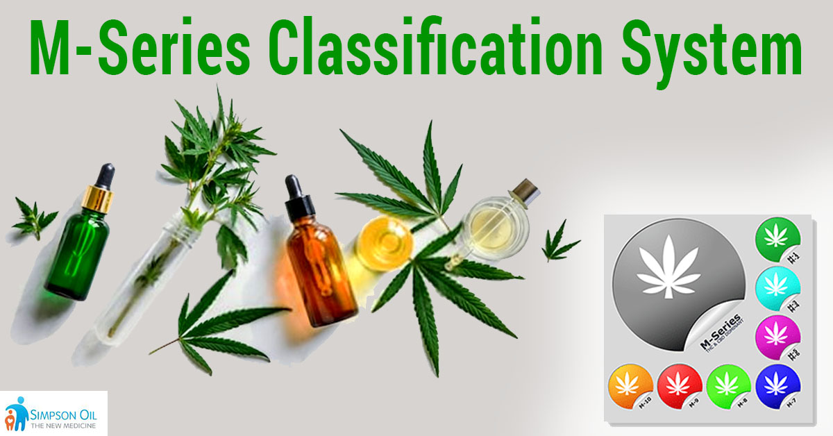 RickSimpson_Oil's tweet photo. Our M-Series Classification system combines specific concentrations of different cannabinoids suited to each individual’s needs. https://t.co/wuVOYlLaPe #Alternativemedicine #MedicalMarijuana #PainRelief #Cancertreatment #THC #SimpsonOil #Cancerresearch #Cancerawareness https://t.co/8kKgZE9AkG