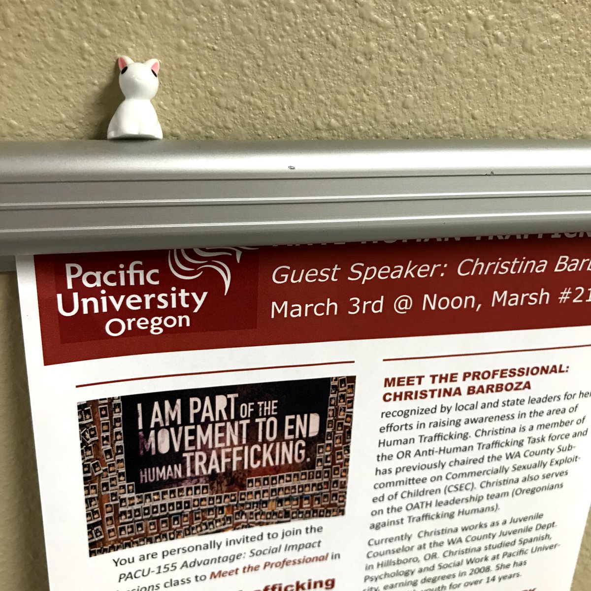 PacificUBiology's tweet photo. Several tiny bunnies, and now a duck, have been spotted around Strain Hall. How many others have you found? https://t.co/wNVIGTIh6Y